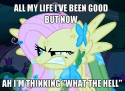 Size: 655x480 | Tagged: safe, derpibooru import, edit, edited screencap, screencap, fluttershy, pegasus, pony, the best night ever, avril lavigne, caption, clothes, dress, female, flutterrage, gala dress, gritted teeth, image macro, mare, solo, song reference, vulgar, what the hell (song)