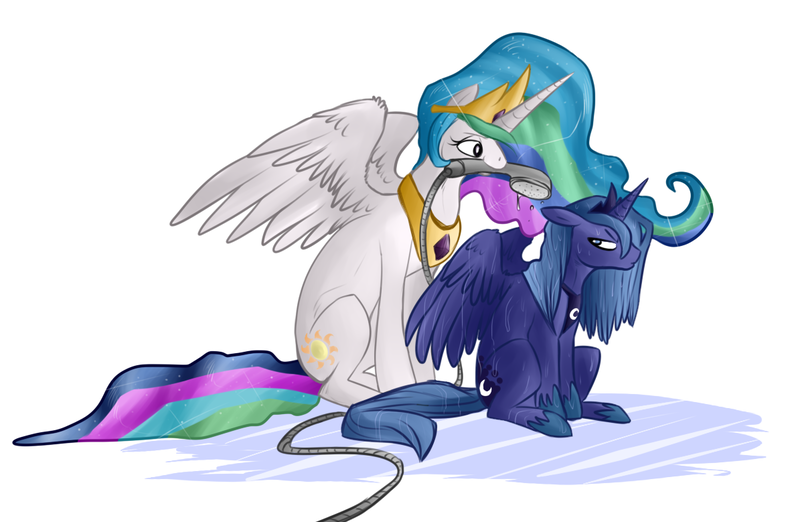 Size: 1195x779 | Tagged: safe, artist:qwert5, derpibooru import, princess celestia, princess luna, alicorn, pony, female, mare, mouth hold, s1 luna, shower, sisters, sitting, wet, wet mane