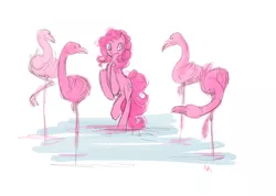 Size: 850x605 | Tagged: safe, artist:noel, derpibooru import, pinkie pie, bird, earth pony, flamingo, pony, behaving like a flamingo, female, mare, one of these things is not like the others, rearing, water