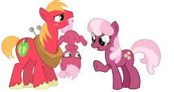Size: 1500x800 | Tagged: safe, artist:hasana-chan, derpibooru import, big macintosh, cheerilee, oc, oc:acey mac, earth pony, pony, cheerimac, crossed hooves, family, female, filly, foal, hanging, hooves, male, mare, mouth hold, offspring, parent:big macintosh, parent:cheerilee, parents:cheerimac, scolding, shipping, simple background, stallion, straight, tail, tail pull, transparent background, unshorn fetlocks, upside down