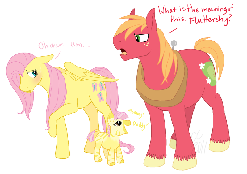 Size: 1400x983 | Tagged: safe, artist:cartoonlion, derpibooru import, big macintosh, fluttershy, oc, earth pony, hybrid, pegasus, pony, zebroid, zony, adultery, blushing, dialogue, female, fluttermac, foal, implied infidelity, infidelity, male, mare, offspring, parent:fluttershy, shipping, simple background, stallion, straight, trio, white background
