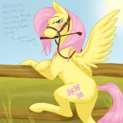 Size: 1000x1000 | Tagged: suggestive, artist:cartoonlion, derpibooru import, fluttershy, pegasus, pony, blushing, bridle, dialogue, dock, female, femsub, fence, looking at you, looking back, mare, mouth hold, reins, riding crop, solo, solo female, submissive