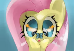 Size: 2500x1750 | Tagged: safe, artist:teknibaal, derpibooru import, fluttershy, butterfly, pegasus, pony, bust, butterfly on nose, cross-eyed, derp, female, insect on nose, looking at something, mare, open mouth, portrait, solo
