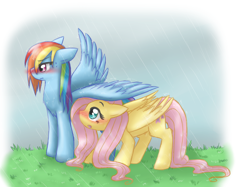 Size: 1605x1276 | Tagged: safe, artist:mahoxyshoujo, derpibooru import, fluttershy, rainbow dash, pegasus, pony, :o, artifact, blushing, covering, cute, dashabetes, female, floppy ears, flutterdash, grass, lesbian, mare, rain, repdigit milestone, shipping, shy, shyabetes, sidemouth, spread wings, tsunderainbow, tsundere, wavy mouth, wet, wet mane, wing umbrella, wings