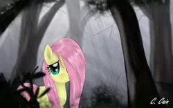 Size: 720x450 | Tagged: safe, artist:c-cain, derpibooru import, fluttershy, pegasus, pony, female, forest, hair over one eye, looking at you, mare, rain, smiling, solo, wet mane