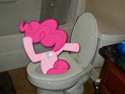 Size: 4000x3000 | Tagged: artist needed, safe, derpibooru import, pinkie pie, earth pony, pony, but why, female, irl, mare, photo, ponies in real life, solo, toilet, underhoof, vector