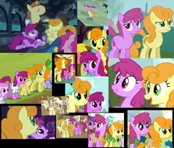 Size: 860x731 | Tagged: safe, derpibooru import, screencap, applecore, berry punch, berryshine, carrot top, con mane, donut joe, golden harvest, lyra heartstrings, noi, piña colada, earth pony, pony, unicorn, mmmystery on the friendship express, sisterhooves social, carrotjoe, collage, compilation, donut joe gets all the mares, female, filly, headband, implied gay, implied shipping, male, mare, piña cutelada, ponies standing next to each other