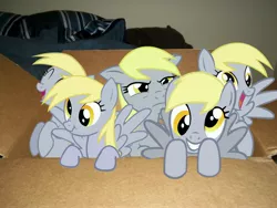 Size: 4000x3000 | Tagged: safe, derpibooru import, derpy hooves, pegasus, pony, box, derpies, female, irl, mare, multeity, photo, ponies in real life, pony in a box, scrunchy face, unstoppable force of derp, vector