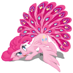 Size: 605x600 | Tagged: safe, artist:gingerfoxy, derpibooru import, pinkie pie, peacock, pegasus, pony, buraq, female, floppy ears, grin, hilarious in hindsight, looking back, mare, simple background, smiling, solo, species swap, tail, tail feathers, transparent background