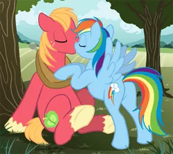 Size: 638x569 | Tagged: safe, artist:brianblackberry, derpibooru import, big macintosh, rainbow dash, earth pony, pegasus, pony, female, kissing, leaning, male, mare, rainbowmac, shipping, sitting, stallion, straight, tree