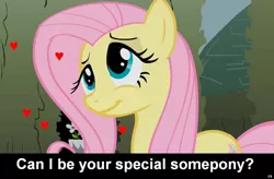 Size: 1024x672 | Tagged: safe, derpibooru import, fluttershy, pegasus, pony, bronybait, caption, cs captions, cute, female, heart, implied, love, mare, solo, special somepony, text