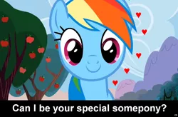 Size: 1024x671 | Tagged: safe, derpibooru import, edit, edited screencap, screencap, rainbow dash, pegasus, pony, bronybait, caption, cs captions, female, heart, implied, looking at you, love, mare, smiling, solo, special somepony