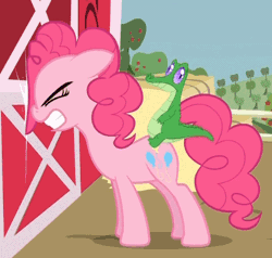Size: 495x471 | Tagged: safe, derpibooru import, screencap, pinkie pie, earth pony, pony, party of one, animated, barn, door, female, gif, gritted teeth, knocking, mare