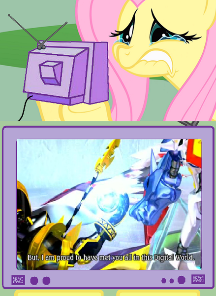 Size: 563x770 | Tagged: safe, derpibooru import, fluttershy, pegasus, pony, alphamon, crying, digimon, digimon x-evolution, exploitable meme, female, fluttercry, lip bite, mare, meme, omegamon, omnimon, tv meme, x-evolution