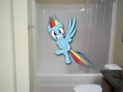 Size: 4000x3000 | Tagged: safe, derpibooru import, rainbow dash, pegasus, pony, bathtub, female, irl, mare, photo, ponies in real life, shower, solo, surprised, toilet, vector