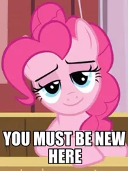 Size: 451x601 | Tagged: safe, derpibooru import, edit, edited screencap, screencap, pinkie pie, earth pony, pony, the last roundup, female, image macro, lidded eyes, mare, meme, reaction image, smiling, solo, you must be new here