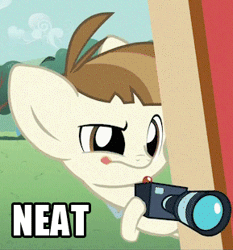 Size: 289x310 | Tagged: safe, derpibooru import, edit, edited screencap, screencap, featherweight, pegasus, pony, ponyville confidential, animated, camera, colt, gif, male, neat, reaction image, solo
