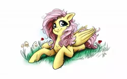 Size: 1440x900 | Tagged: safe, artist:glancojusticar, derpibooru import, fluttershy, pegasus, pony, female, flower, mare, messy mane, prone, simple background, smiling, solo, white background