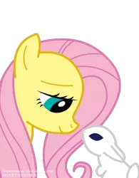 Size: 780x1000 | Tagged: dead source, safe, artist:miketheuser, derpibooru import, angel bunny, fluttershy, pegasus, pony, eye contact, female, looking at each other, mare, photoshop, simple background, transparent background