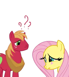 Size: 1300x1445 | Tagged: dead source, safe, artist:miketheuser, derpibooru import, big macintosh, fluttershy, earth pony, pegasus, pony, blushing, female, fluttermac, male, mare, photoshop, question mark, shipping, simple background, stallion, straight, transparent background