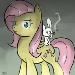 Size: 900x900 | Tagged: safe, artist:speccysy, derpibooru import, angel bunny, fluttershy, pegasus, pony, abstract background, cigar, duo, female, glare, mare, smoking