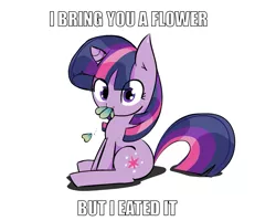 Size: 997x796 | Tagged: safe, artist:zev, derpibooru import, twilight sparkle, pony, unicorn, cute, eating, featured image, female, filly, filly twilight sparkle, flower, foal, image, image macro, looking at you, png, sitting, solo, younger