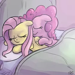 Size: 900x900 | Tagged: safe, artist:speccysy, derpibooru import, fluttershy, pinkie pie, earth pony, pegasus, pony, bed, cuddling, cute, diapinkes, female, floppy ears, flutterpie, lesbian, mare, prone, shipping, sleeping, smiling