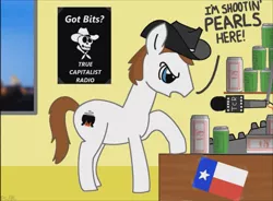 Size: 1051x774 | Tagged: safe, derpibooru import, ponified, earth pony, pony, male, melting pot of friendship, microphone, solo, stallion, texas, the man they call ghost, true capitalist radio