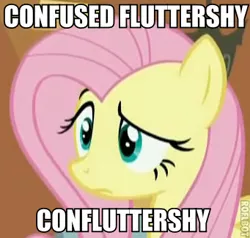 Size: 341x324 | Tagged: safe, derpibooru import, edit, edited screencap, screencap, fluttershy, pegasus, pony, stare master, artifact, confluttershy, confused, female, image macro, mare, portmanteau, reaction image, roflbot, solo