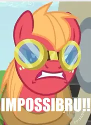 Size: 253x345 | Tagged: safe, derpibooru import, edit, edited screencap, screencap, big macintosh, earth pony, pony, the super speedy cider squeezy 6000, goggles, gritted teeth, impossibru, male, reaction image, solo, stallion