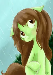 Size: 620x876 | Tagged: safe, artist:cloverminto, derpibooru import, oc, unofficial characters only, earth pony, pony, female, floppy ears, head tilt, mare, rain, sitting, solo, wet mane