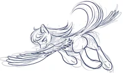 Size: 1000x597 | Tagged: safe, artist:buttercupsaiyan, derpibooru import, oc, unofficial characters only, pegasus, pony, female, image, jpeg, mare, monochrome, sketch, solo, spread wings, wings