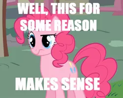 Size: 752x598 | Tagged: safe, derpibooru import, edit, edited screencap, screencap, pinkie pie, earth pony, pony, caption, confused, female, frown, mare, solo