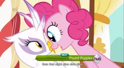 Size: 855x470 | Tagged: safe, derpibooru import, screencap, gilda, pinkie pie, earth pony, gryphon, pony, griffon the brush off, duo, duo female, eye contact, female, hub logo, looking at each other, mare, meme, youtube caption