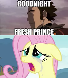 Size: 625x713 | Tagged: safe, derpibooru import, screencap, fluttershy, human, pegasus, pony, amon, female, fluttercry, human male, image macro, male, mare, meme, the legend of korra