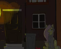 Size: 1280x1024 | Tagged: safe, artist:swomswom, derpibooru import, fluttershy, pegasus, pony, clothes, female, glow, hoodie, mare, night, sitting, solo