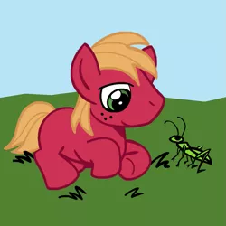 Size: 945x945 | Tagged: safe, artist:megasweet, derpibooru import, big macintosh, earth pony, pony, colt, colt big macintosh, foal, grasshopper, male, prone, solo, younger