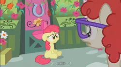 Size: 854x471 | Tagged: safe, derpibooru import, edit, edited screencap, screencap, apple bloom, twist, earth pony, pony, call of the cutie, caption, duo, duo female, female, filly, homie, sitting, youtube caption