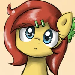 Size: 900x900 | Tagged: safe, artist:sirachanotsauce, derpibooru import, oc, oc:sirachi, unofficial characters only, earth pony, pony, :<, bust, cute, female, hairclip, looking at you, mare, portrait, solo