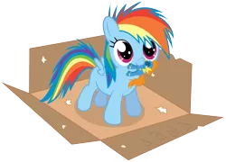 Size: 1800x1293 | Tagged: dead source, safe, artist:chubble-munch, derpibooru import, rainbow dash, spitfire, pegasus, pony, box, cute, dashabetes, doll, female, filly, filly rainbow dash, foal, mouth hold, plushie, pony in a box, simple background, solo, transparent background, weapons-grade cute, younger