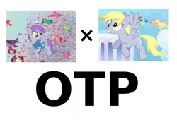 Size: 661x449 | Tagged: safe, derpibooru import, derpy hooves, ditzy doo, flutter doo, fluttershy, rainbow dash, bird, pegasus, pony, sonic rainboom (episode), winter wrap up, exploitable meme, female, filly, mare, meme, otp, simple background, vector, white background, winter wrap up vest