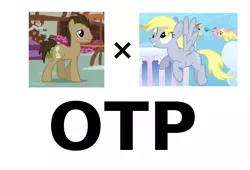 Size: 661x449 | Tagged: safe, derpibooru import, derpy hooves, doctor whooves, fluttershy, rainbow dash, time turner, earth pony, pegasus, pony, doctorderpy, exploitable meme, female, filly, male, meme, otp, shipping, stallion, straight