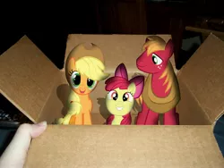 Size: 4000x3000 | Tagged: safe, derpibooru import, apple bloom, applejack, big macintosh, earth pony, pony, apple family, apple siblings, box, female, filly, hand, irl, looking at you, male, mare, photo, ponies in real life, pony in a box, smiling, stallion, vector