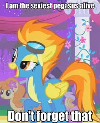 Size: 390x480 | Tagged: safe, derpibooru import, edit, edited screencap, screencap, spitfire, pegasus, pony, the best night ever, clothes, cropped, female, goggles, image macro, mare, sexiest pony alive, solo focus, uniform, wonderbolts uniform