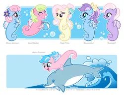 Size: 800x617 | Tagged: artist:dizziness, derpibooru import, dolphin, g1, g1 to g4, generation leap, high tide, safe, sand dollar, sealight, sea pony, seawinkle, wavedancer, wave jumper