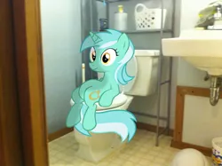 Size: 900x672 | Tagged: safe, artist:flarechaser, derpibooru import, lyra heartstrings, pony, unicorn, but why, female, irl, mare, meme, photo, ponies in real life, shitting lyra, sitting, sitting lyra, solo, toilet, vector