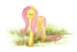 Size: 900x600 | Tagged: safe, artist:cosmicunicorn, derpibooru import, fluttershy, pegasus, pony, eyes closed, female, grass, mare, solo