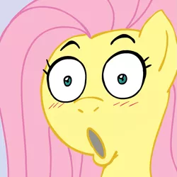 Size: 945x945 | Tagged: safe, artist:megasweet, derpibooru import, fluttershy, pegasus, pony, blushing, close-up, faic, female, mare, open mouth, reaction image, shocked, simple background, solo, wide eyes