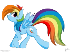 Size: 2500x1833 | Tagged: safe, artist:skipsy, derpibooru import, rainbow dash, pegasus, pony, female, looking at you, mare, signature, simple background, solo, spread wings, transparent background, walking, wings