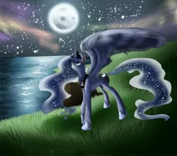 Size: 2500x2200 | Tagged: safe, artist:dream--chan, derpibooru import, princess luna, alicorn, pony, female, grass, high res, mare, moon, night, solo, water